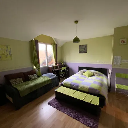 בית הארחה La Maison Des Chats Loison-sous-Lens