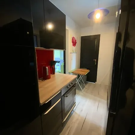 La Maison Des Chats *