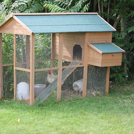בית הארחה La Maison Des Chats *