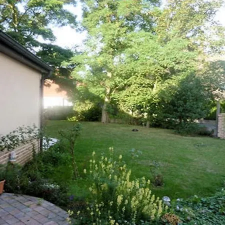 La Maison Des Chats