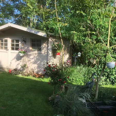 בית הארחה La Maison Des Chats *